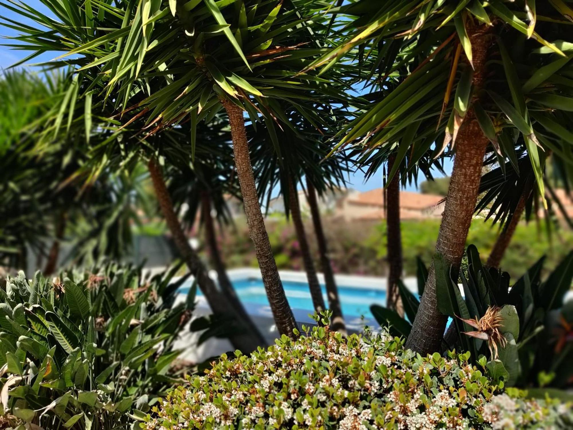 Pool Seaside Relais - Ville Ninfea, Marea, Rosa E Cassiopea 冯塔尼比安奇 外观 照片
